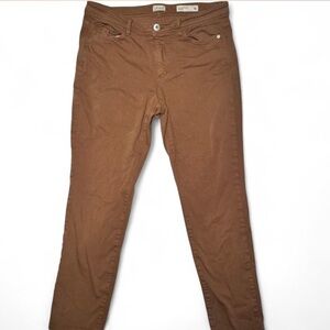 J. Jill Women's Brown Jeans